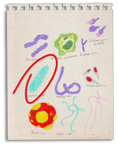 Design Sketch 4